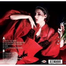 TeknoKapsül Arar Arabesk Plak - My