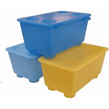 TeknoKapsül Glis Kutuları Kapak Mavi, Yeşil ve Beyaz; 3 Adet