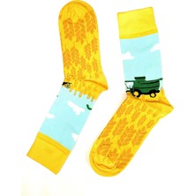 TeknoKapsül Moving Çorap Basak Traktör