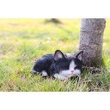 TeknoKapsül Runadı Hi- 87699-B Kedi Yavrusu Uyuyan Siyah ve Beyaz Kedi Heykeli