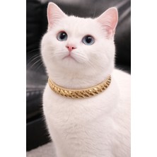 PHENORA Parlak Taş Detaylı Kedi Tasması - Konforlu Hafif Kedi Kolyesi