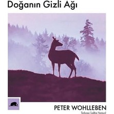 TeknoKapsül Doğanın Gizli Ağı