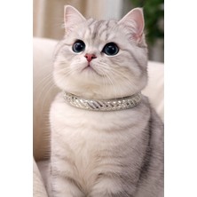 PHENORA Parlak Taş Detaylı Kedi Tasması - Konforlu Hafif Kedi Kolyesi