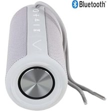 TeknoKapsül Desibel H500 Bluetooth Hoparlör Gri