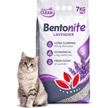 Quality Clean Lavanta Kokulu (Net 7 Kg) Bentonit Ultra Topaklaşan Kedi Kumu
