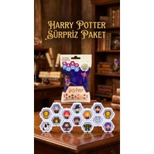 Erdo Ticaret Buğz Harry Potter Koleksiyon Sürpriz Figür Seti Ünlü Karakterler