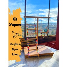Ciko Kafes Kuşlara Eğlenceli Salıncaklı Merdivenli Oyun Alanı