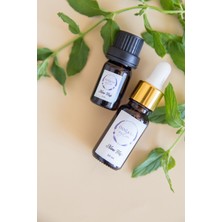 %100 Doğal Nane Aromalı Buhurdanlık Kokusu - 10 ml