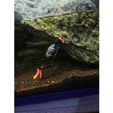 3D Baskı Gezegeni Dalgıç Adam Akvaryum Dekoru