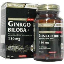 Ginkgo Biloba 60 Tablet