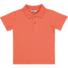 Civil Boys Erkek Çocuk Palmiye Nakışlı Polo Yaka 2-5 Yaş Tişört - Pembe
