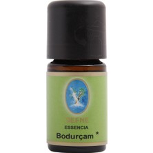 Bodur Çam Yağı - Organik 10 ml