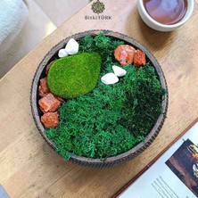 BitkiTÜRK Stabilze Moss Şoklanmış Yosun Canlı Orman Teraryum