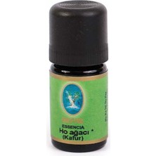 Ho Ağacı ( Kafur ) Yağı - Organik 10 ml