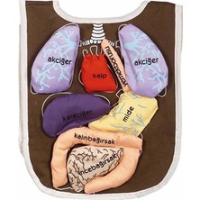 Uravas Store AND-5011 Organ Önlüğü Organlar Cırt Bantlı