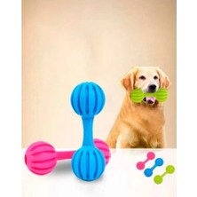 Uravas Store Çıngıraklı Evcil Hayvan Oyuncağı