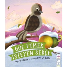 Uravas Store Göç Etmek Isteyen Serçe