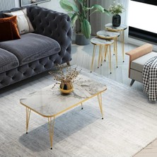 Mooncapella 4'lü, Modern Gold Detaylı Metal Ayaklı Sehpa Seti -Mermer Görünümlü Gri