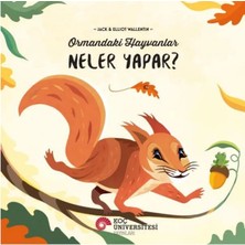 Uravas Store Ormandaki Hayvanlar Neler Yapar?