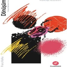 Uravas Store Dönüşüm