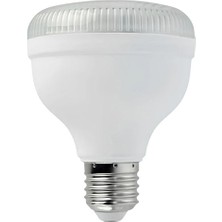 Horoz Crystal 30 30W Kristal LED Ampul Beyaz 6400K