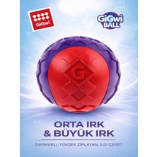 GiGwi Ball Originals Özel Dokulu & Sesli Köpek Oyun Topu - Tekli Paket - Orta & Büyük Irk - 6 cm