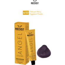 Redist Redist Saç Boyası 6/22-Patlıcan Moru 60 ml