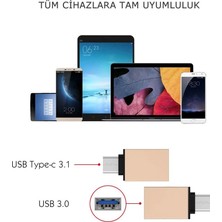Daniska Ally USB Type C Otg Converter Çevirici BAŞLIK-(5775)