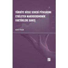 Gazi Kitabevi Türkiye Hisse Senedi Piyasasını Etkileyen Makroekonomik Faktörlere Bakış