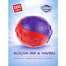 GiGwi Ball Originals Özel Dokulu & Sesli Köpek Oyun Topu - Tekli Paket - Küçük Irk & Yavru - 5 cm