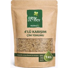 4 Mevsim Yeşil Çim Tohumu (4 Lü Karışım) 1 kg