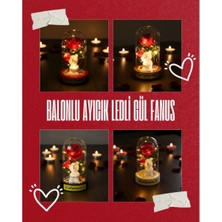 Cngzhn Balonlu Ayıcık Ledli Gül Fanus