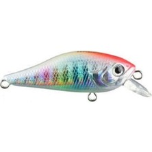 Usami Fury Shad 40F-SR 2.4 G RENK:004