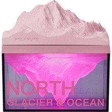 Buğz Z4 Kuzey Okyanus Temalı Gece Lambası Özellikli Bt Kablosuz Hoparlör - Pembe