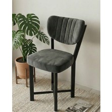 Savita Home Elma Sandalye