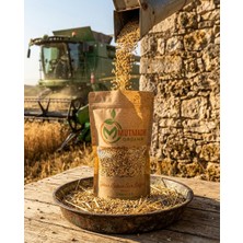 Mutmade Organik Yerli Sarı Buğday 500 gr