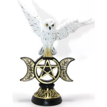 Uravas Store Polyester Baykuş ALK2351