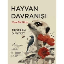Uravas Store Hayvan Dranışı