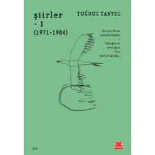 Kırmızı Kedi Yayınevi Şiirler – 1  (1971 – 1984)