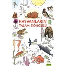 Elma Çocuk Hayvanların Yaşam Döngüsü