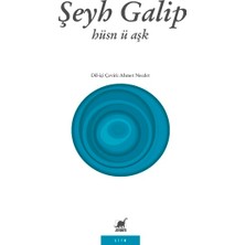 Ayrıntı Yayınları Hüsn Ü Aşk (Güzellik ve Aşk)