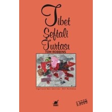 Ayrıntı Yayınları Tibet Şeftali Turtası