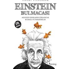 Domingo Yayınevi Einstein Bulmacası 1