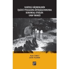 Gazi Kitabevi Suriyeli Göçmenlerin Işgücü Piyasasına Entegrasyonunda Kurumsal Etkiler - Undp Örneği