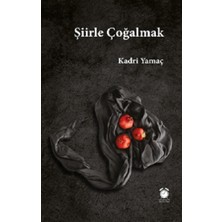 Efil Yayınevi Şiirle Çoğalmak