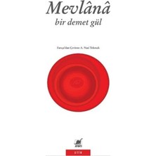 Ayrıntı Yayınları Bir Demet Gül