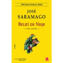 Kırmızı Kedi Yayınevi Belki De Neşe