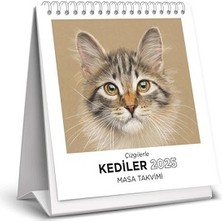 Remzi Kitabevi Çizgilerle Kediler 2025 Masa Takvimi