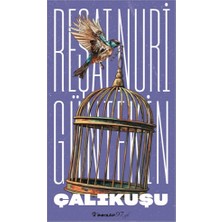 Çalıkuşu (Yeni Kapak)
