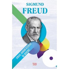 Kırmızı Ada Yayınları Cinsel Kuram Üzerine Üç Deneme